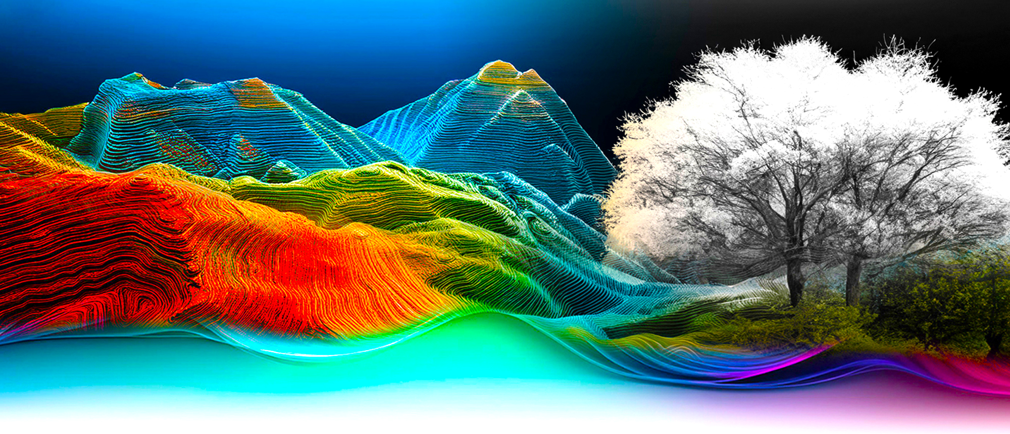 Estudios Ambientales